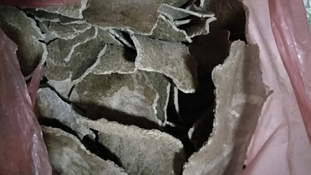 去年10月初买的苔藓苗,现在可以直接下图片上