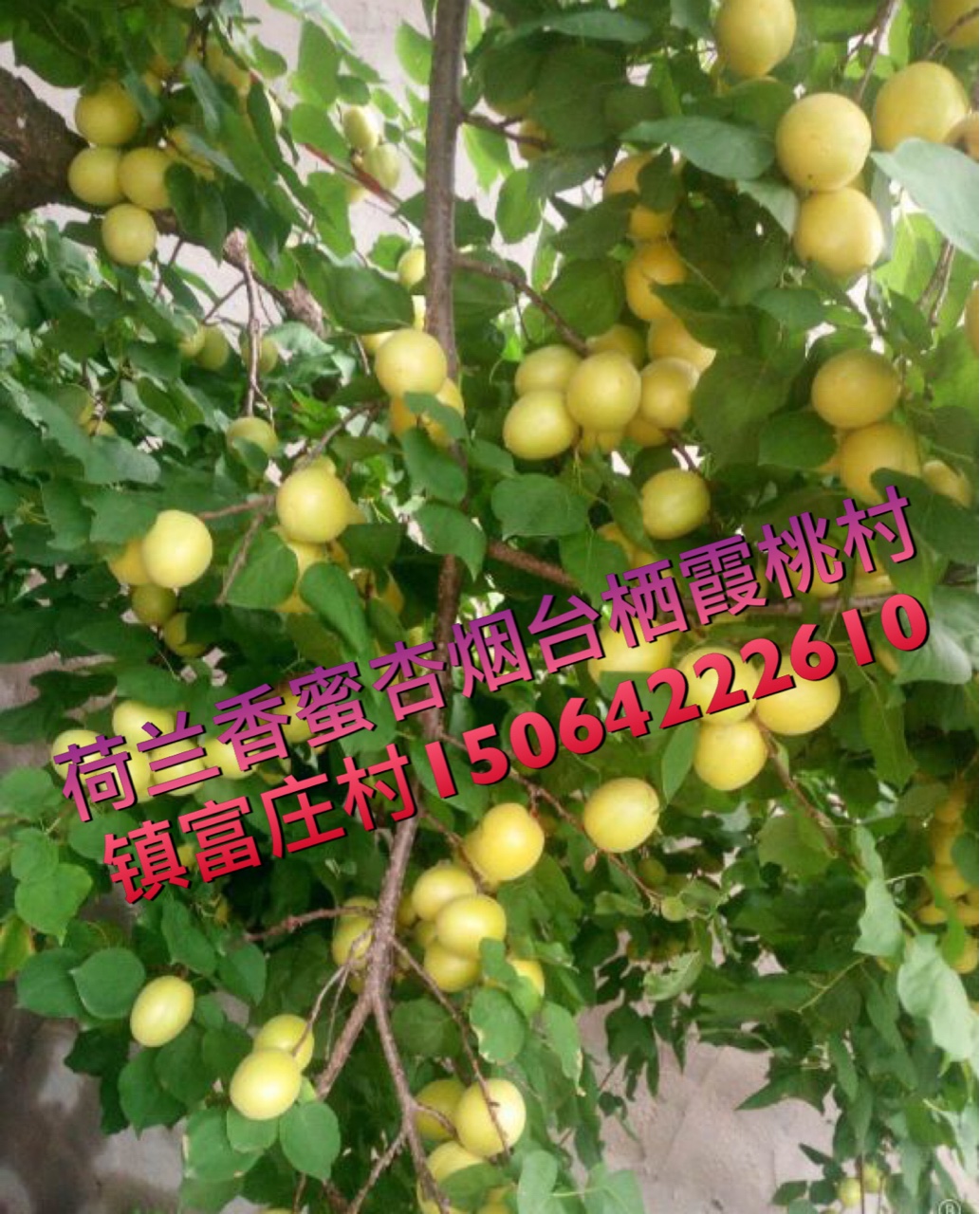 ںӣϸʣŻ𣡸еõޣ4043 :ifipov 