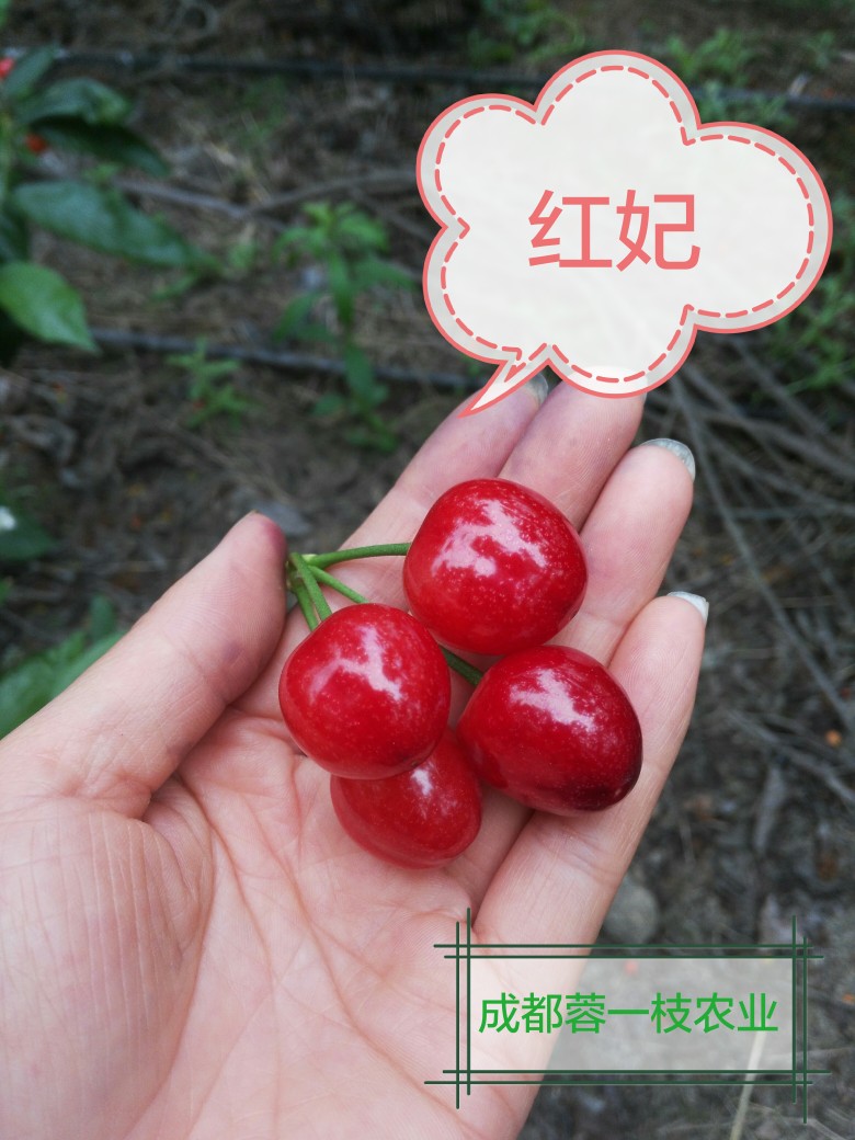 һ´ӹʵ۰취1121 :971 