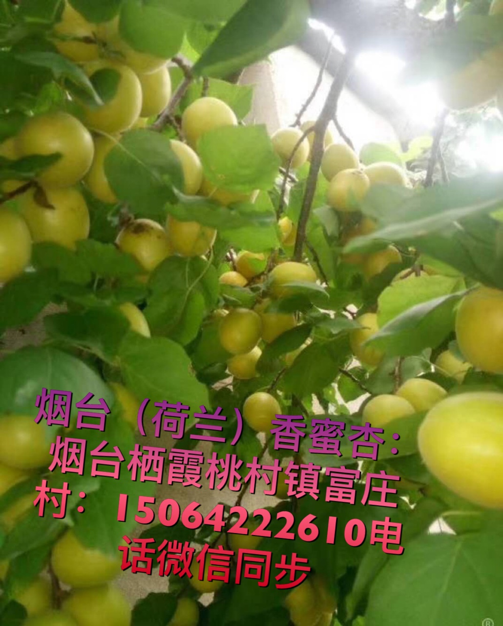 ̨ںǶֵ21ϣ6-7첻ᷴ൱9641 :ac 
