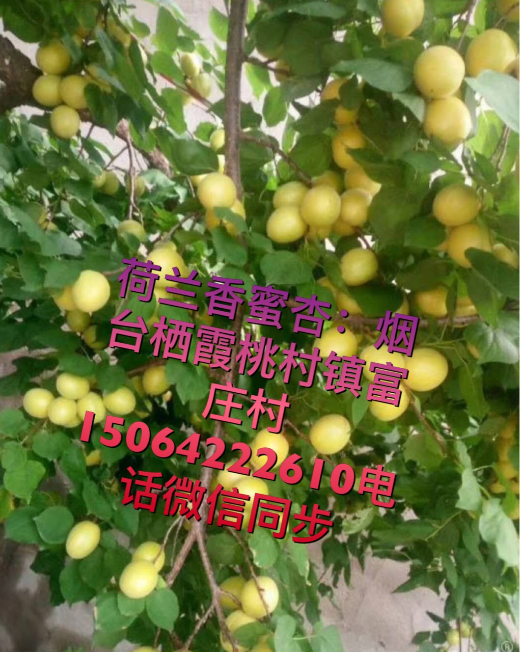 ̨ںǶֵ21ϣ6-7첻ᷴ൱6783 :ac 