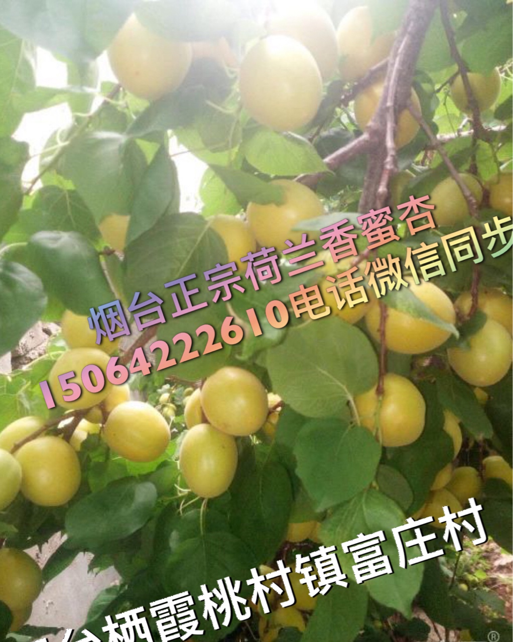 ̨ںǶֵ21ϣ6-7첻ᷴ൱4377 :ac 