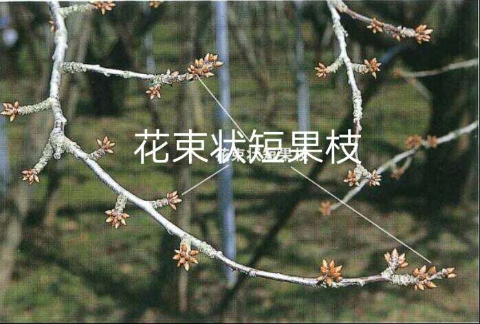 һ֦෨ȫ뱾ߣʵߣ㣩2260 : 