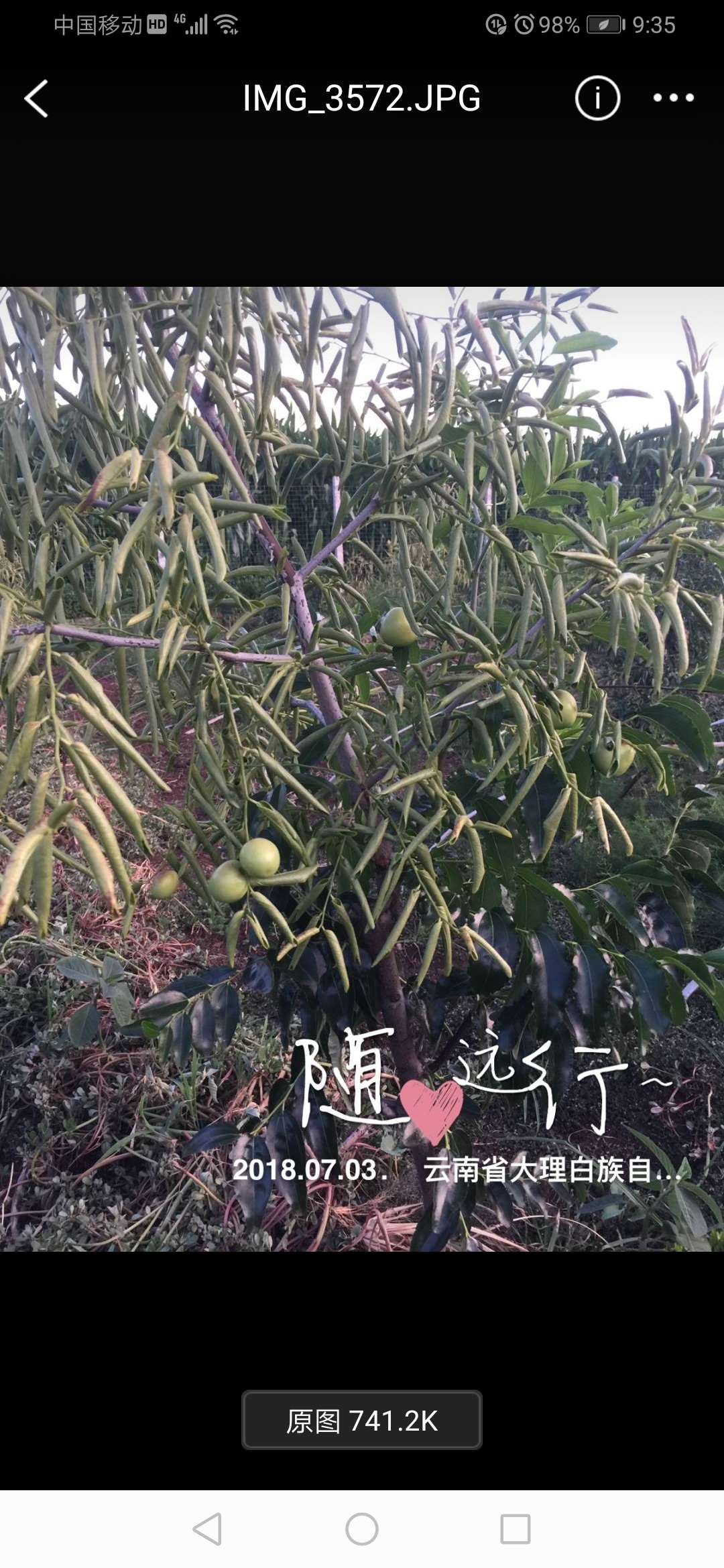 궬ʹ6399 :asdasd 