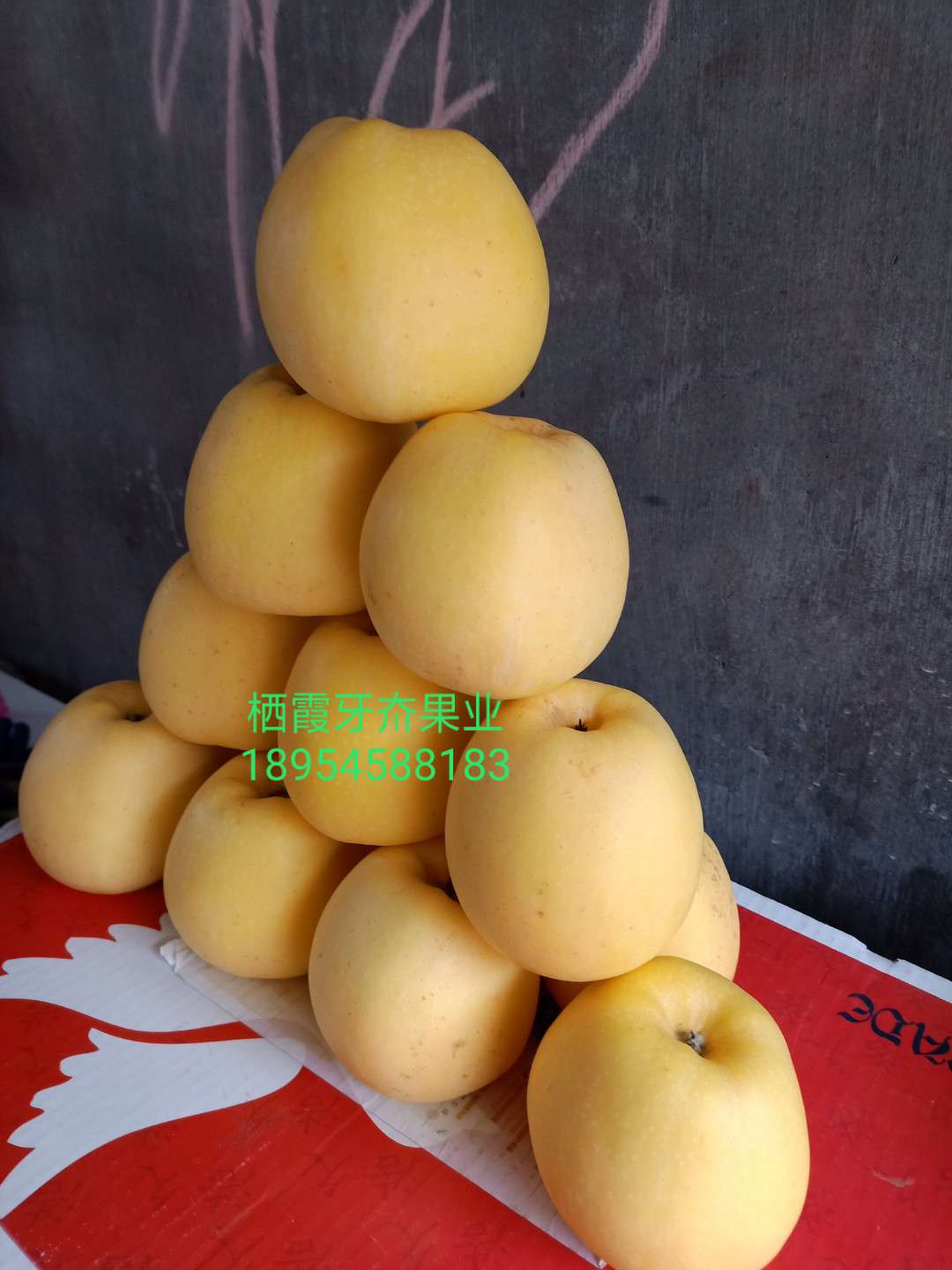 ά˹ƽƻ6501 :pv 