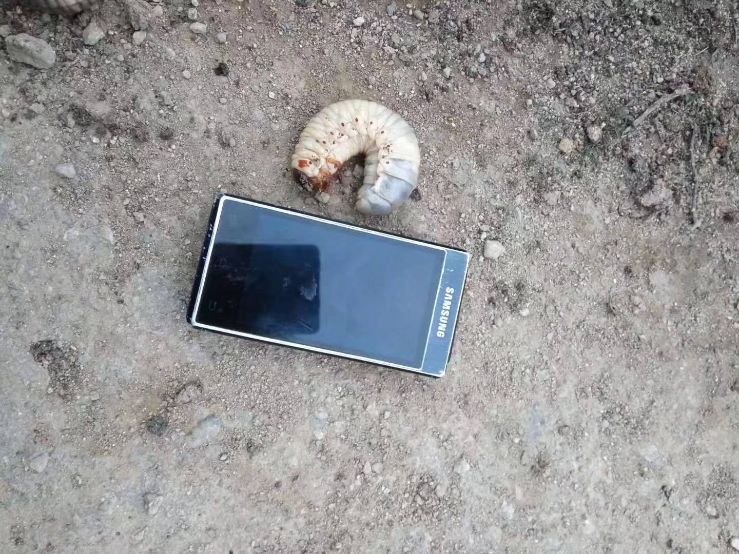 ΰ׽5622 :ССı 