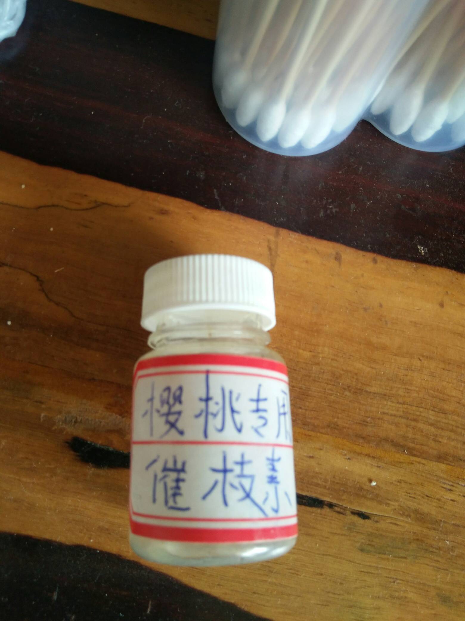 һҹӴ֦8793 :ʿ 