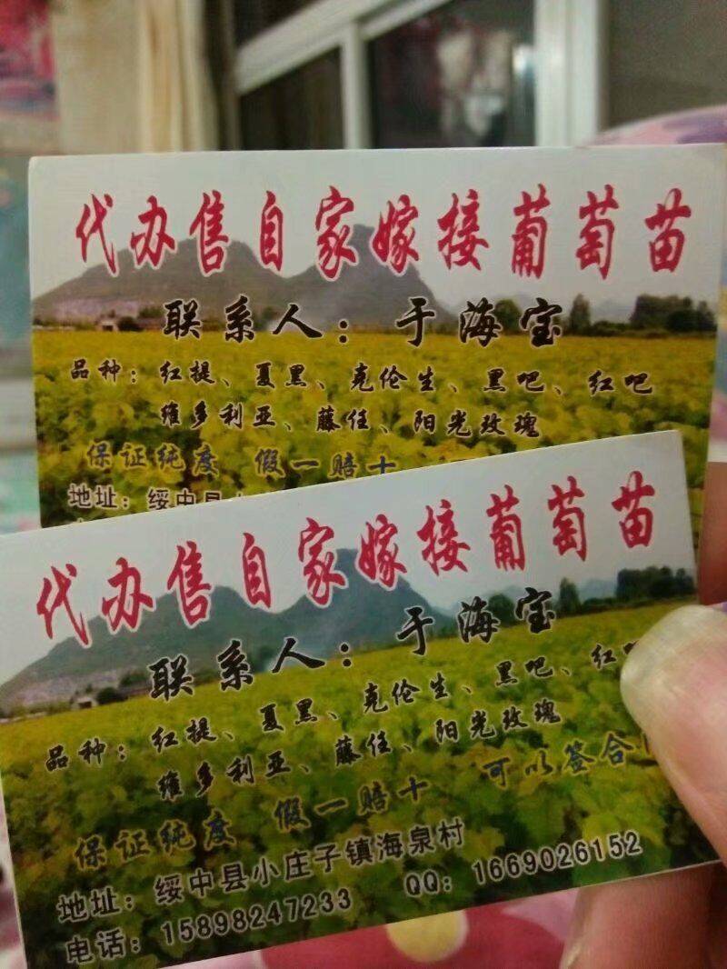 18941783365ũ緱510 :2017 