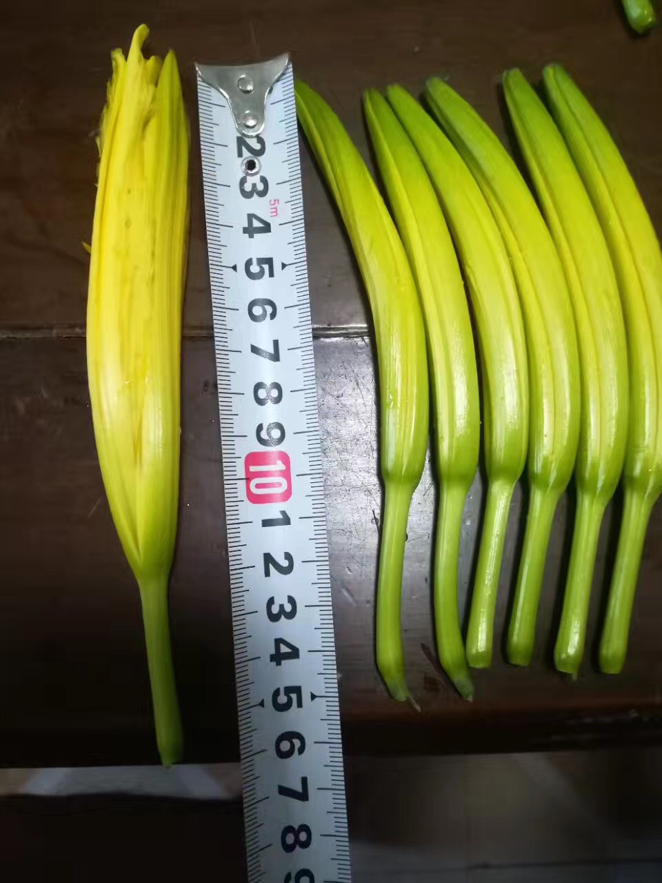 ƻһļӦ5780 :СӾĪа 