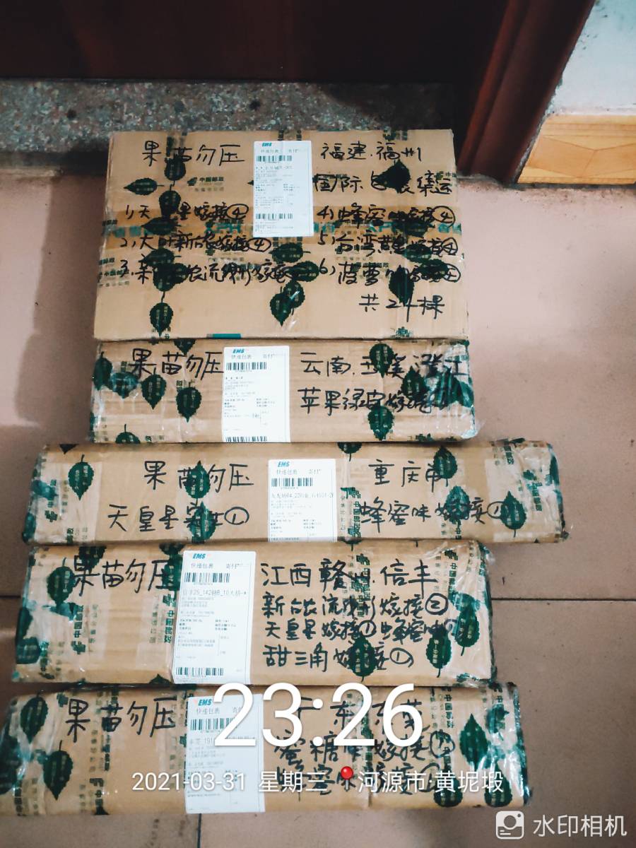 ǹ緢174 :ճ 