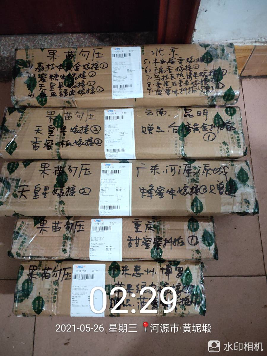 ǹ緢525 :707 