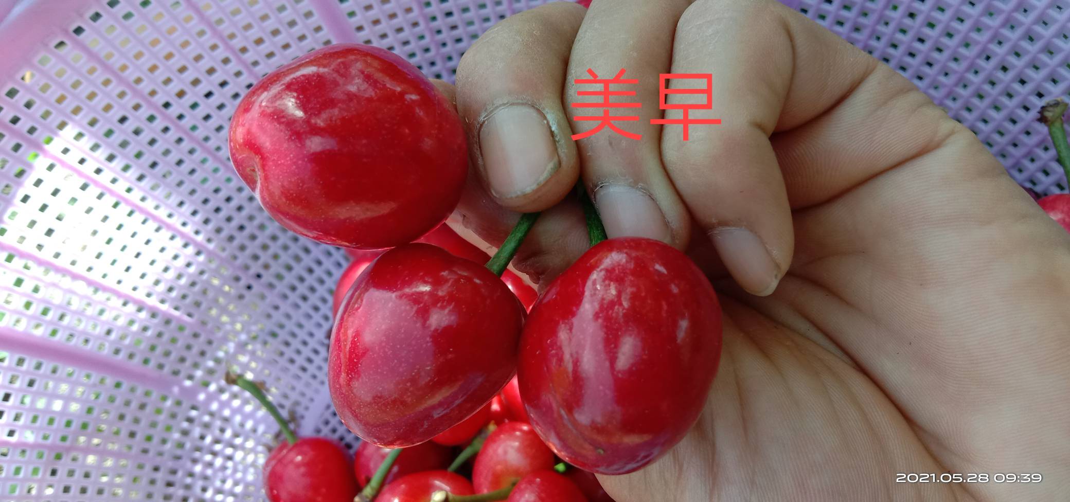԰ı6357 :ǵʮ˲ 