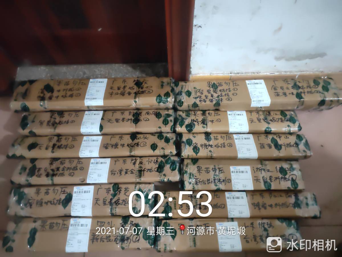 ǹ緢24 : 