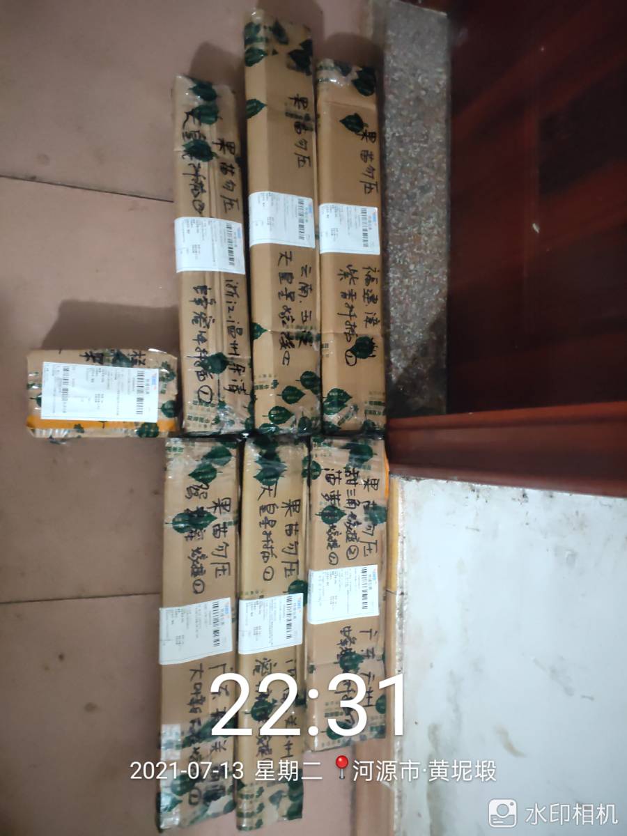 ǹ緢7182 :Сôy 