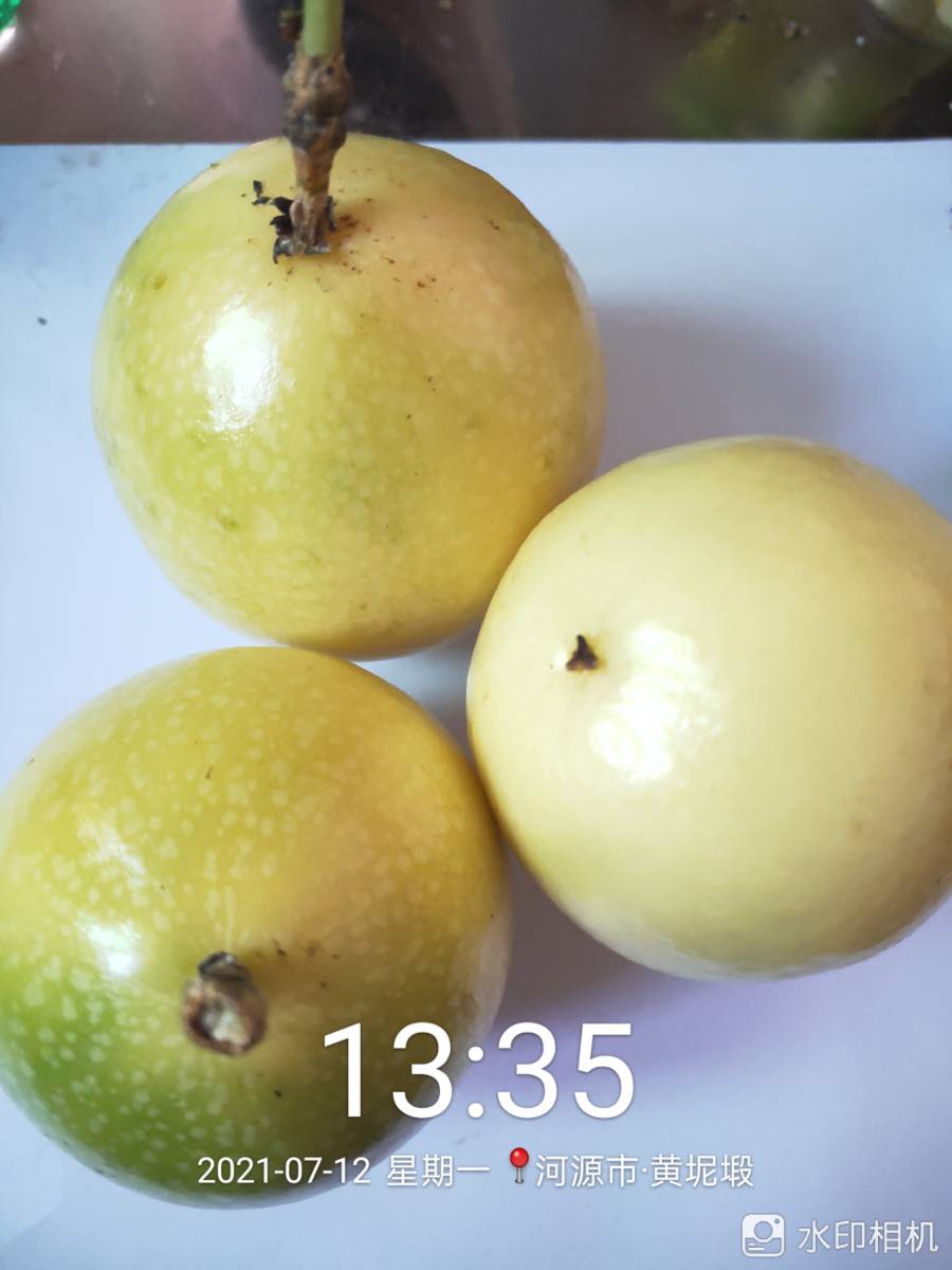 ǹ緢6541 :Сôy 
