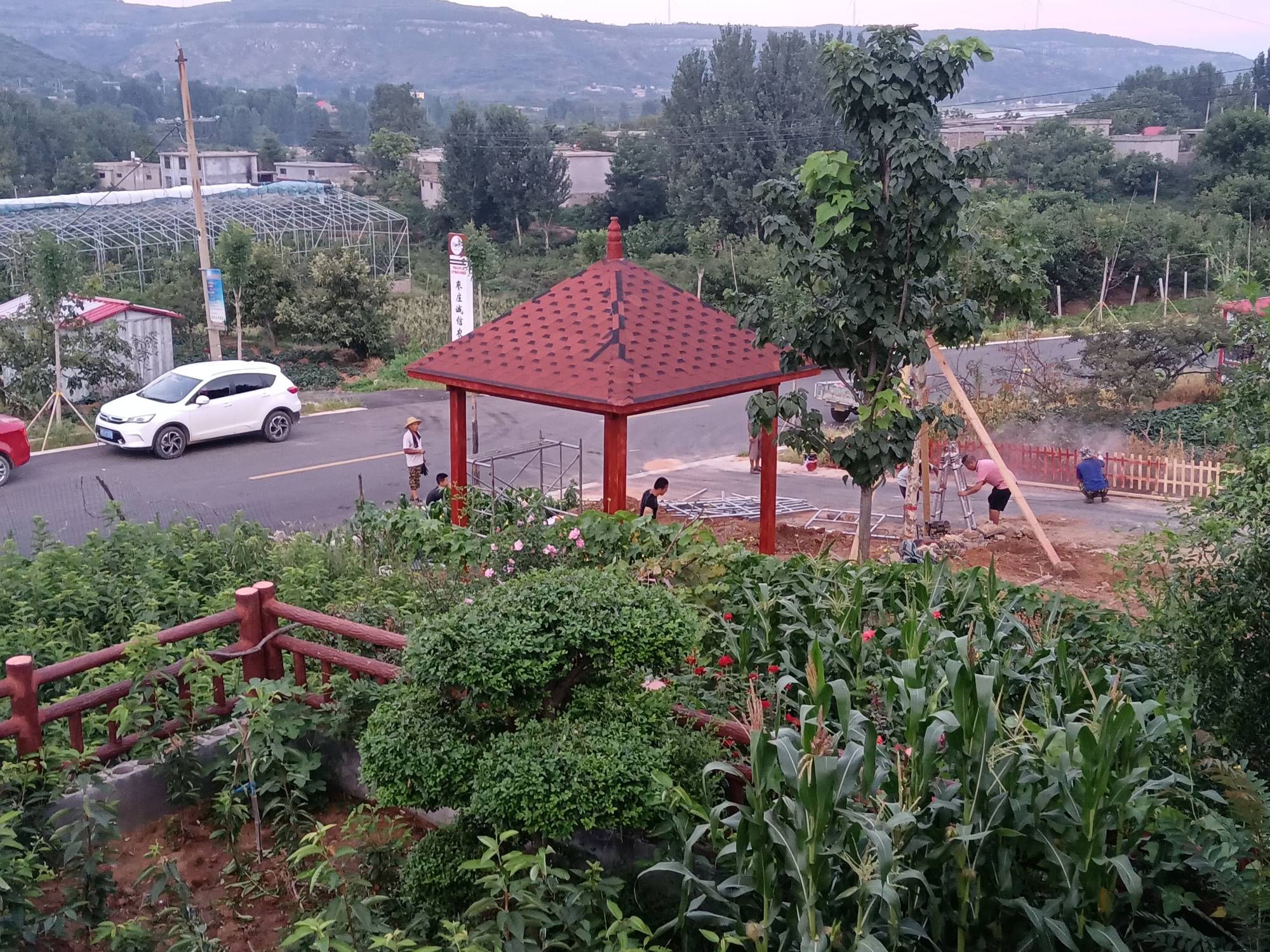 ϵĺ3502 : 