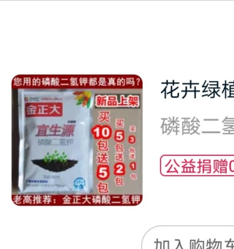 ʵؼ׷8284 :人 