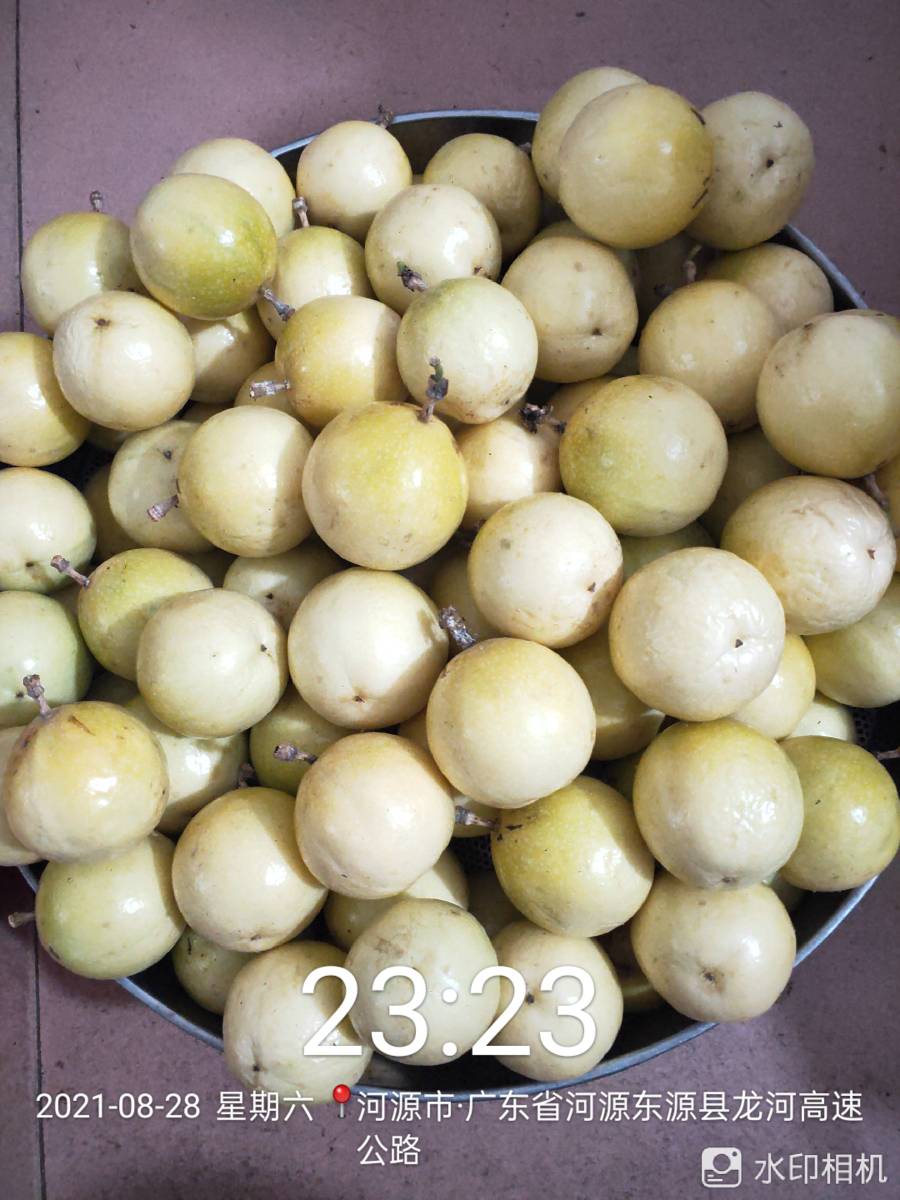 ǹ緢3324 :yqowogubi 