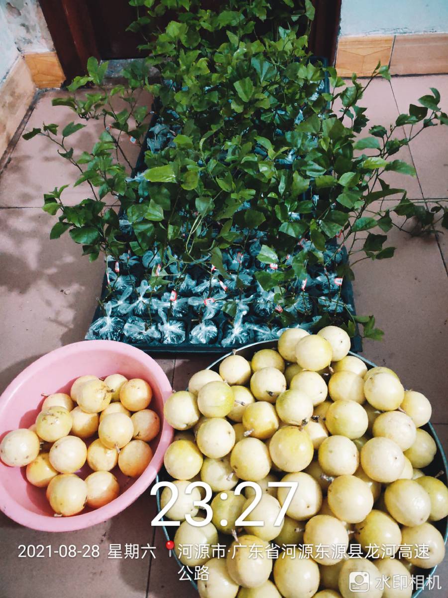 ǹ緢2376 :yqowogubi 