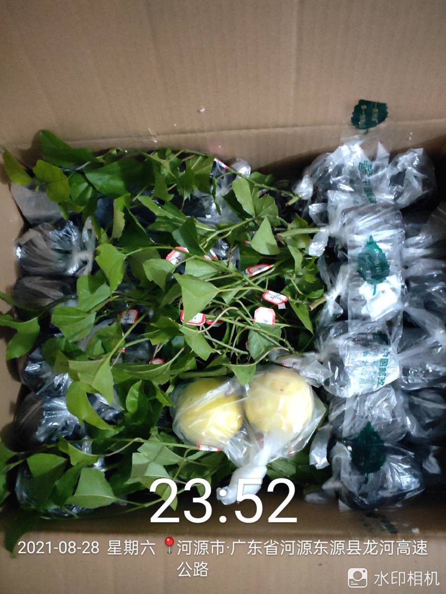 ǹ緢7375 :yqowogubi 