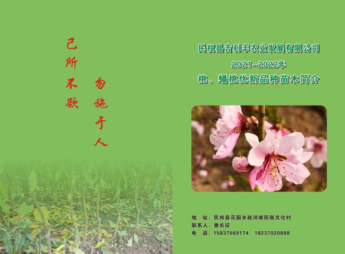 20212022꼪9065 :onabiq 