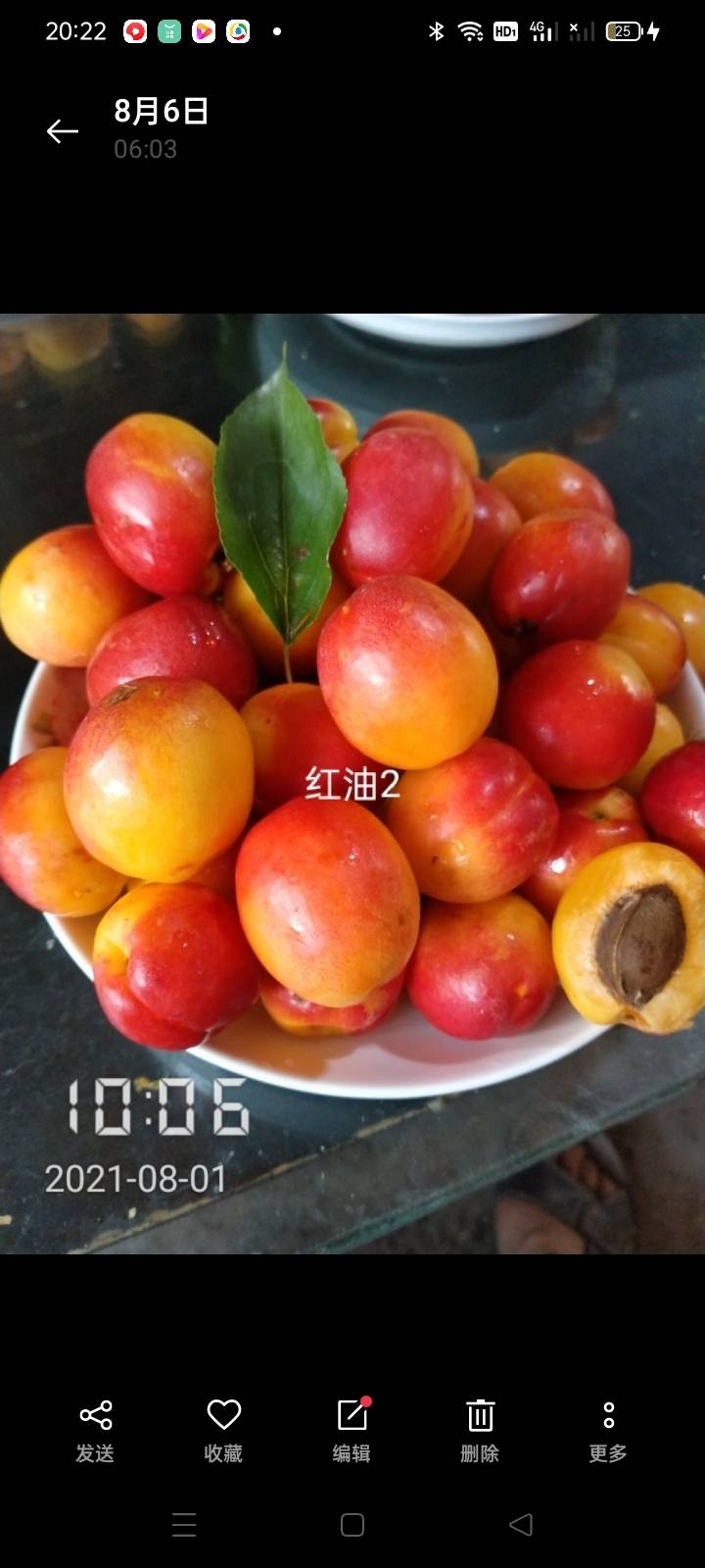 񶬣2021꣩2022꣩Żݼ3468 :ţ˸ 