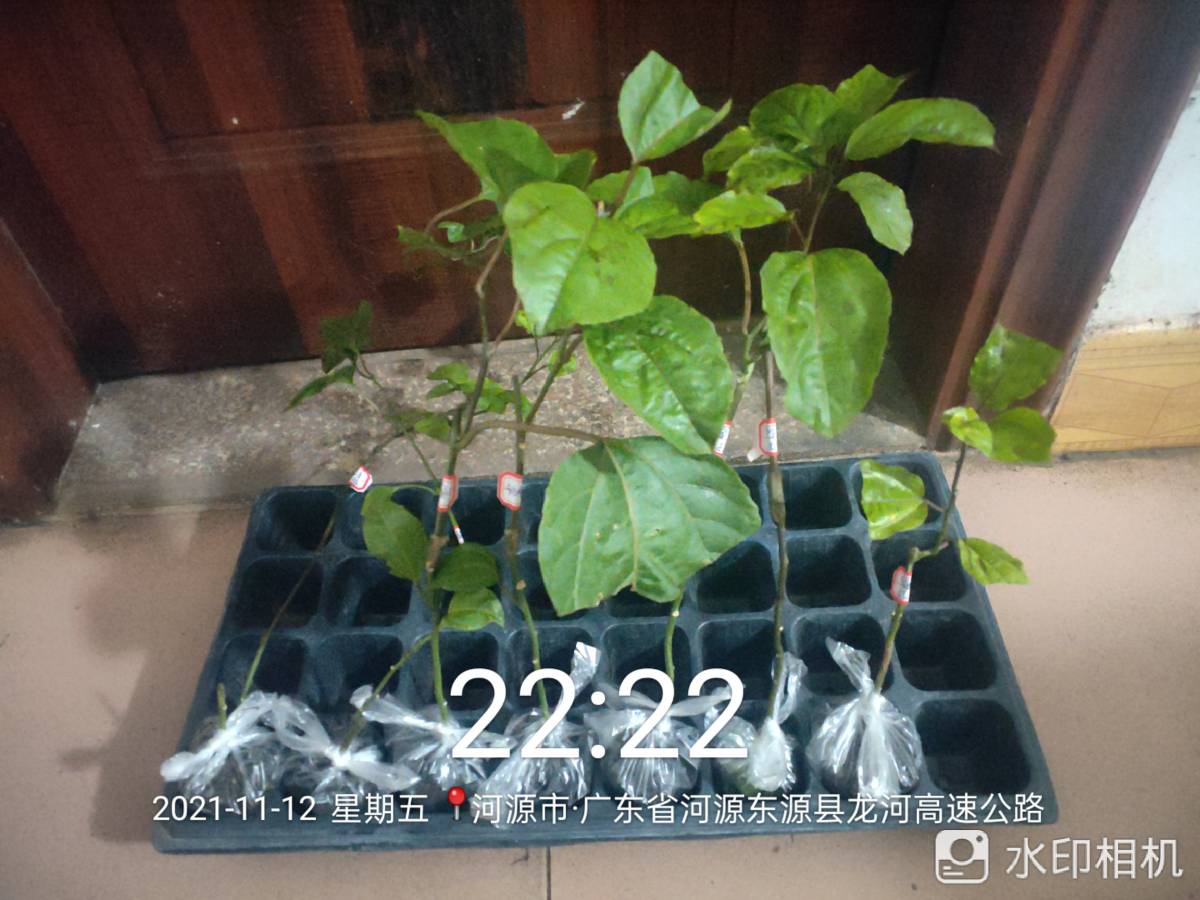 ǹ緢7131 :afihego 