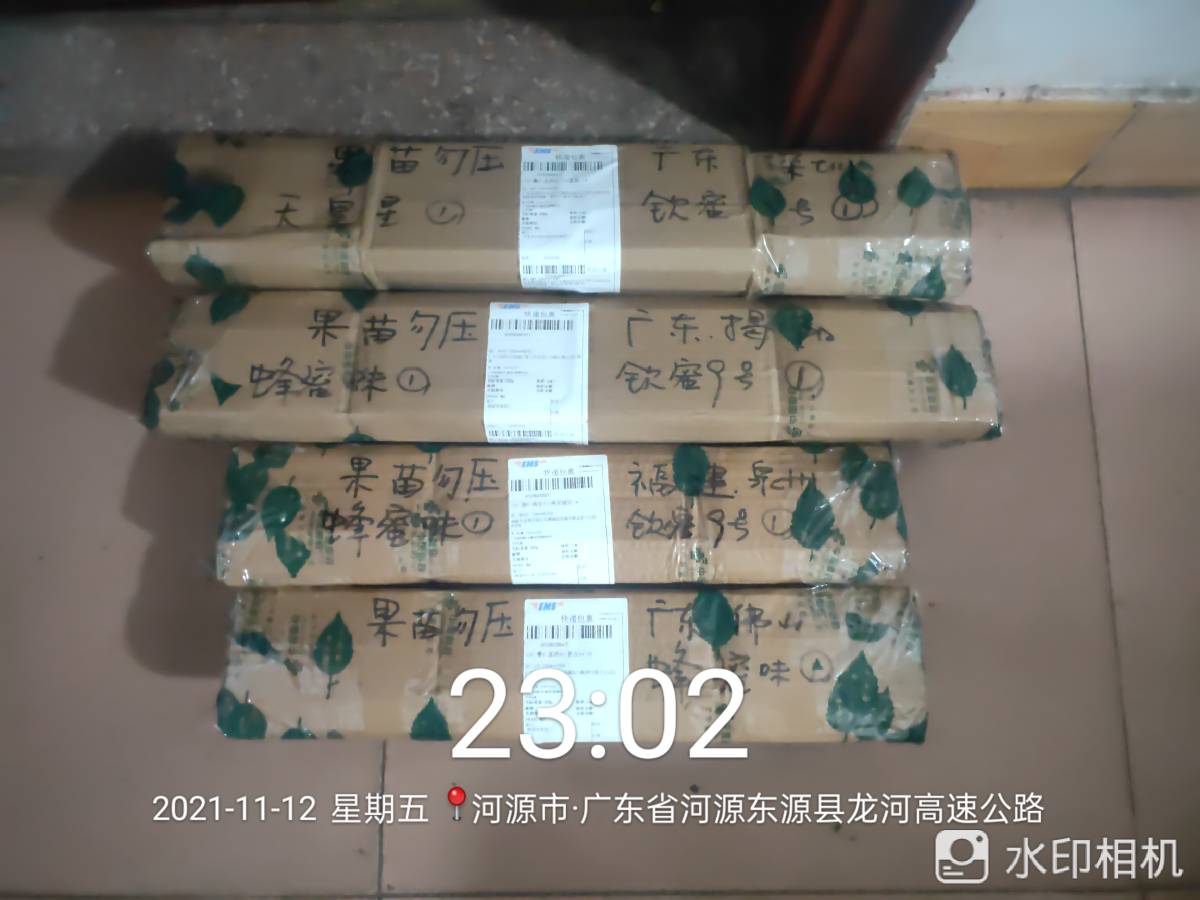 ǹ緢6959 :afihego 