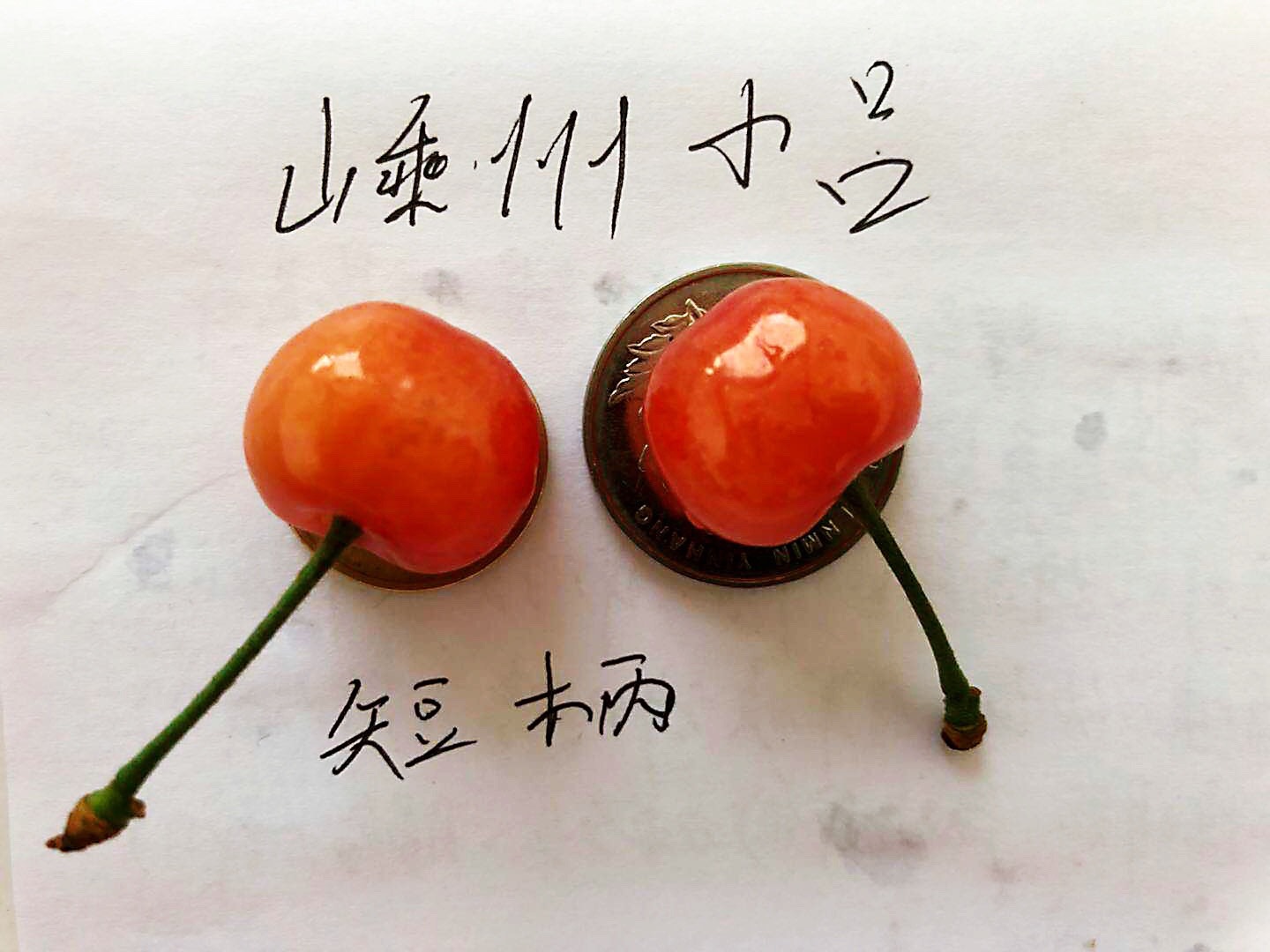 С硿2021-2022嵥7634 :782 