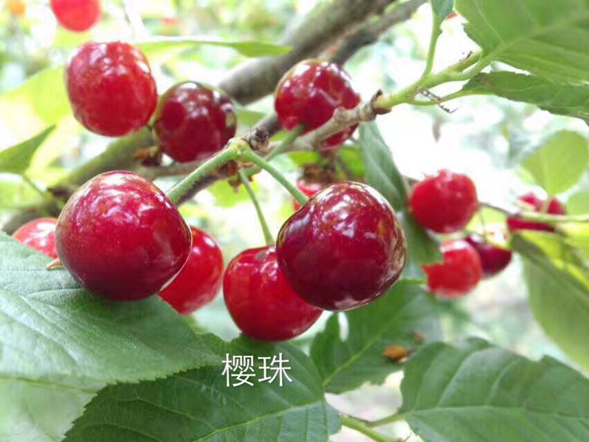 С硿2021-2022嵥6547 :782 