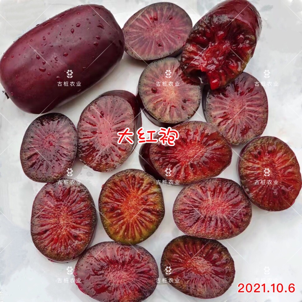 ׮ũҵ۸⨺硢⨺硢ݮ硢ԲҶ硢͹8531 :ľ329 