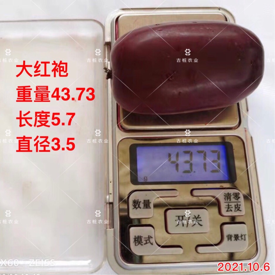 ׮ũҵ۸⨺硢⨺硢ݮ硢ԲҶ硢͹3534 :ľ329 