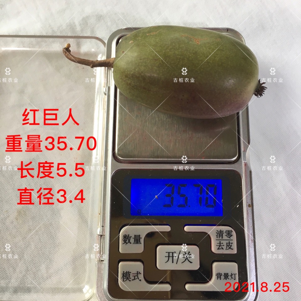 ׮ũҵ۸⨺硢⨺硢ݮ硢ԲҶ硢͹7368 :ľ329 