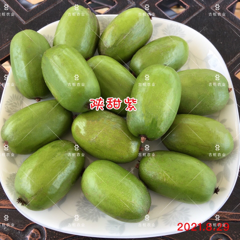 ׮ũҵ۸⨺硢⨺硢ݮ硢ԲҶ硢͹4672 :ľ329 