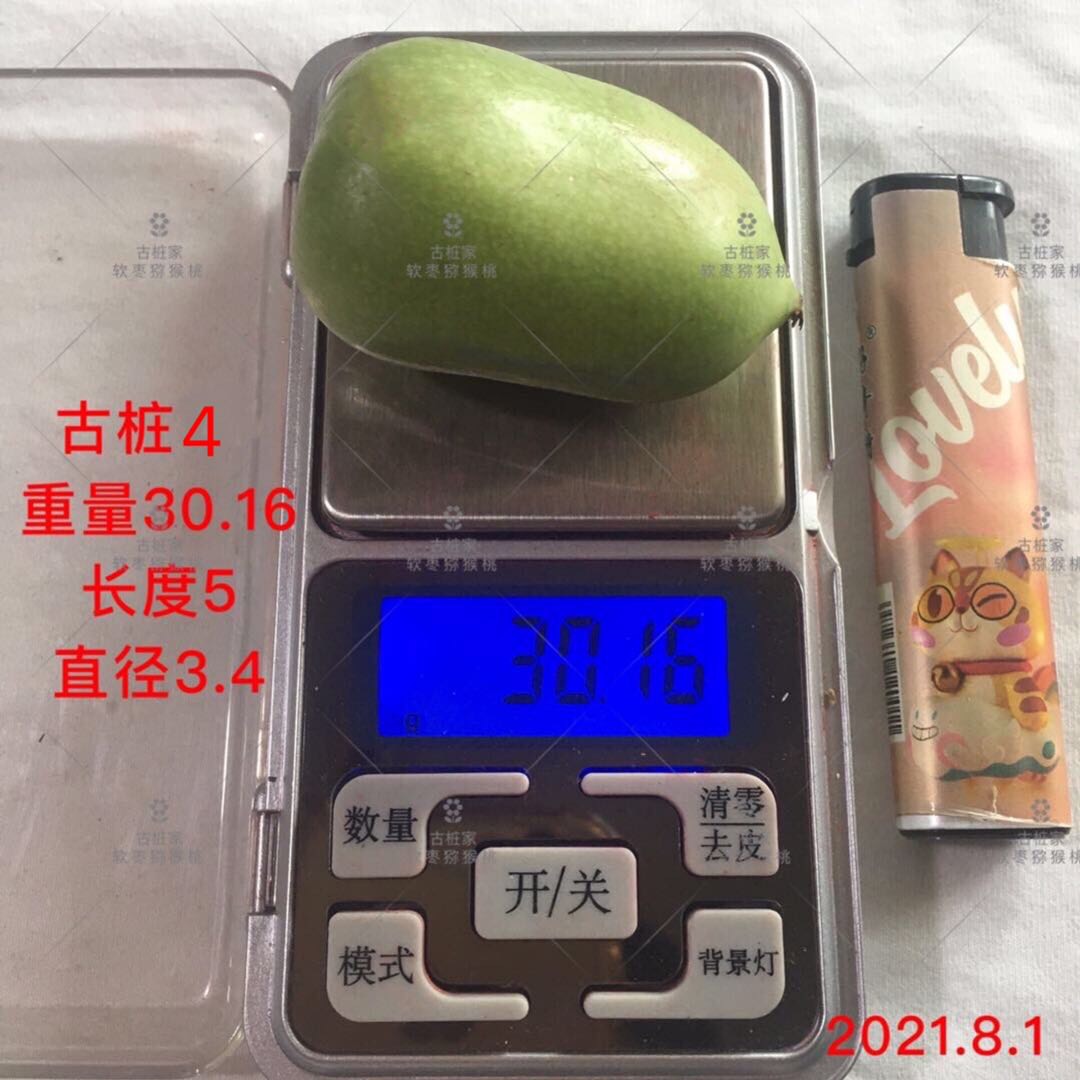 ׮ũҵ۸⨺硢⨺硢ݮ硢ԲҶ硢͹9790 :ľ329 