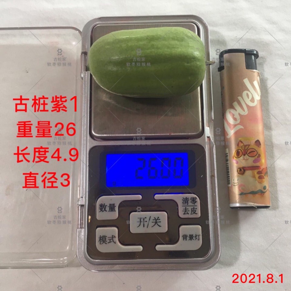 ׮ũҵ۸⨺硢⨺硢ݮ硢ԲҶ硢͹3025 :ľ329 