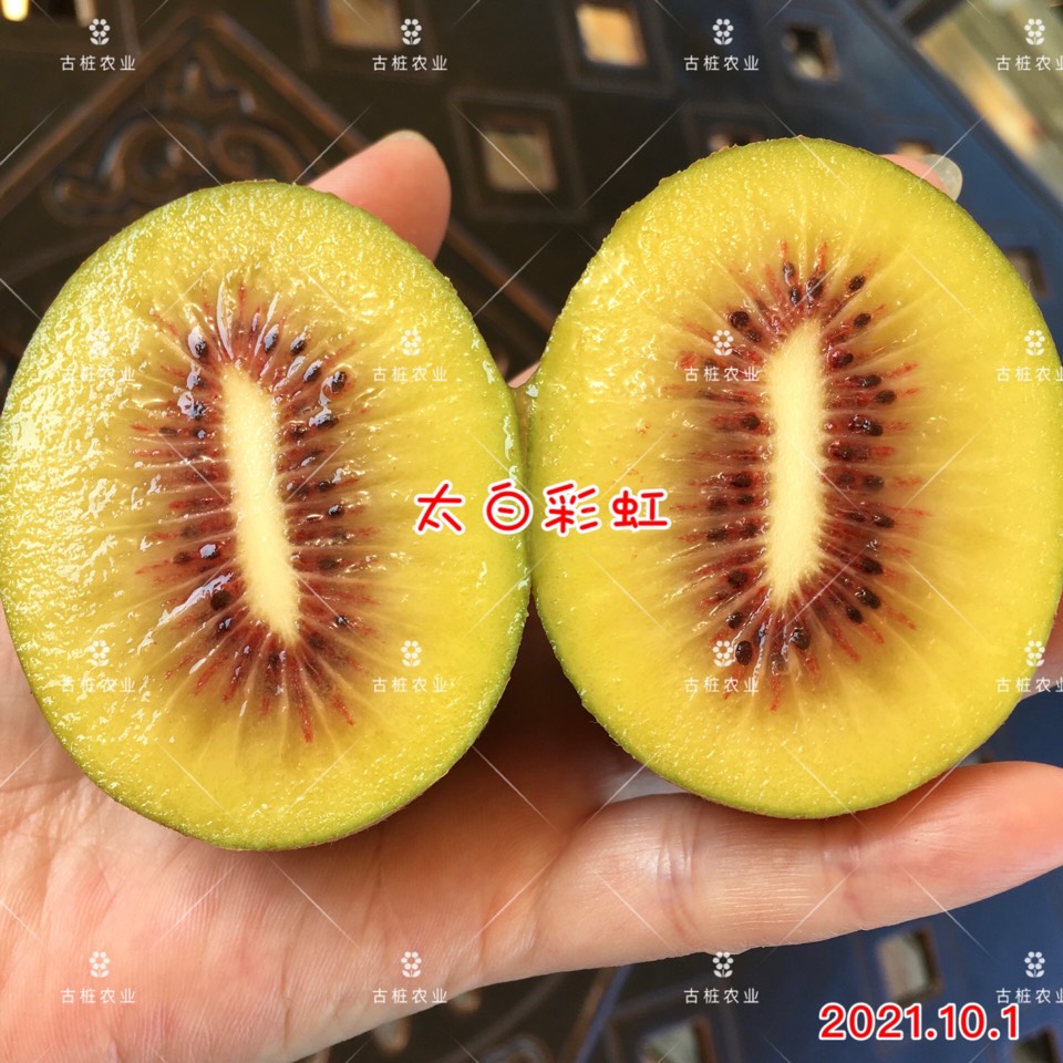 ׮ũҵ۸⨺硢⨺硢ݮ硢ԲҶ硢͹7218 :ľ329 