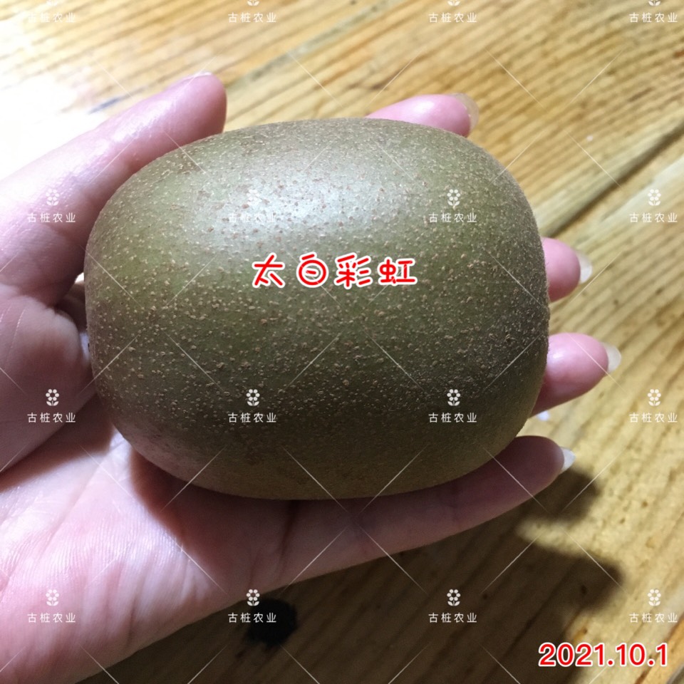 ׮ũҵ۸⨺硢⨺硢ݮ硢ԲҶ硢͹5340 :ľ329 