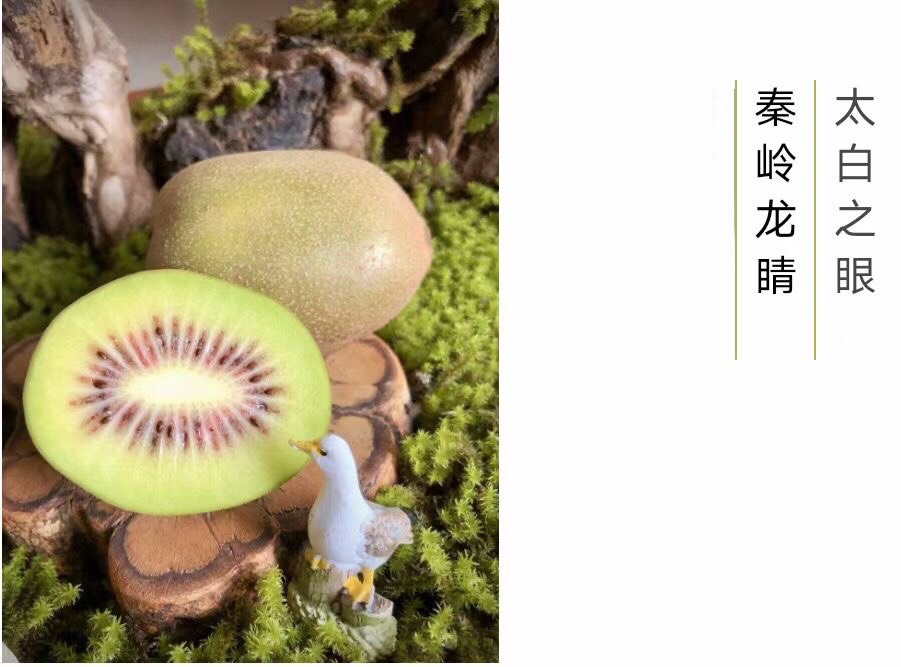 ׮ũҵ۸⨺硢⨺硢ݮ硢ԲҶ硢͹4034 :ľ329 