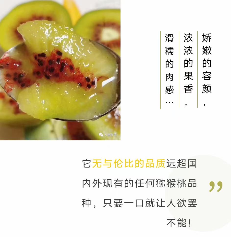 ׮ũҵ۸⨺硢⨺硢ݮ硢ԲҶ硢͹5790 :ľ329 
