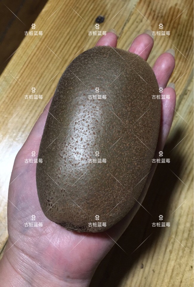 ׮ũҵ۸⨺硢⨺硢ݮ硢ԲҶ硢͹4025 :ľ329 