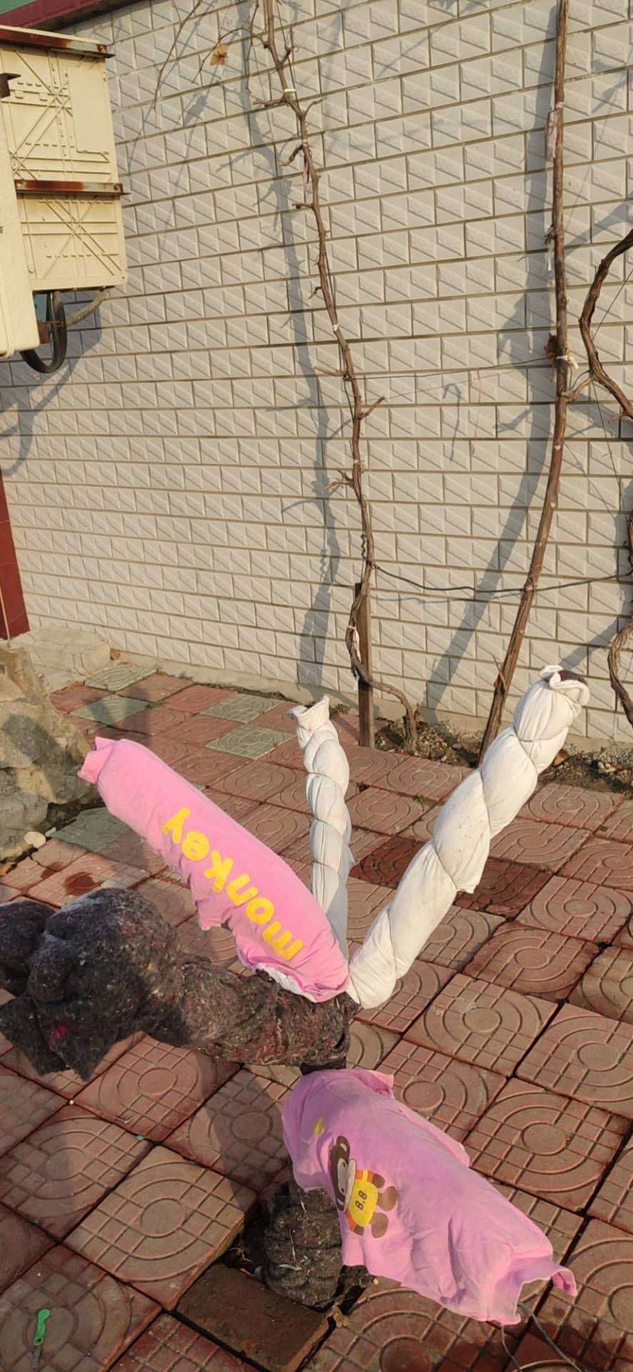 ҵ2021ҵ;̡6974 : 