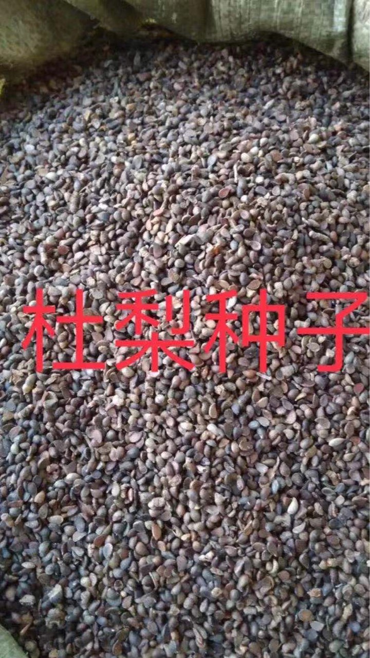 1ë8ëֹԼ6956 :ɹԴڴ´ 