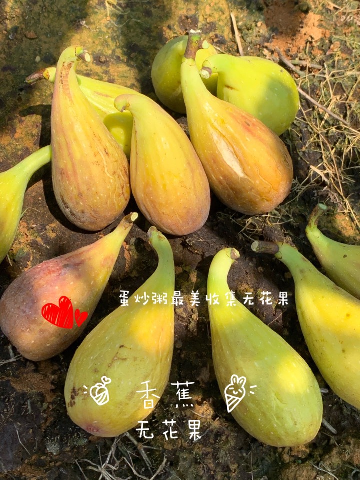 ҵ2021꣬ؼҿ9118 : 