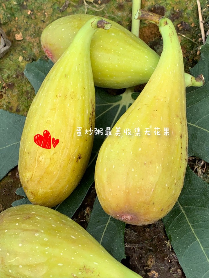 ҵ2021꣬ؼҿ1192 : 