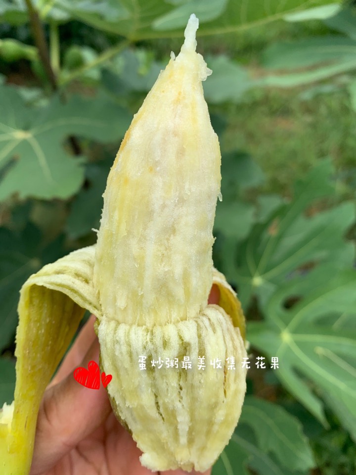 ҵ2021꣬ؼҿ5659 : 