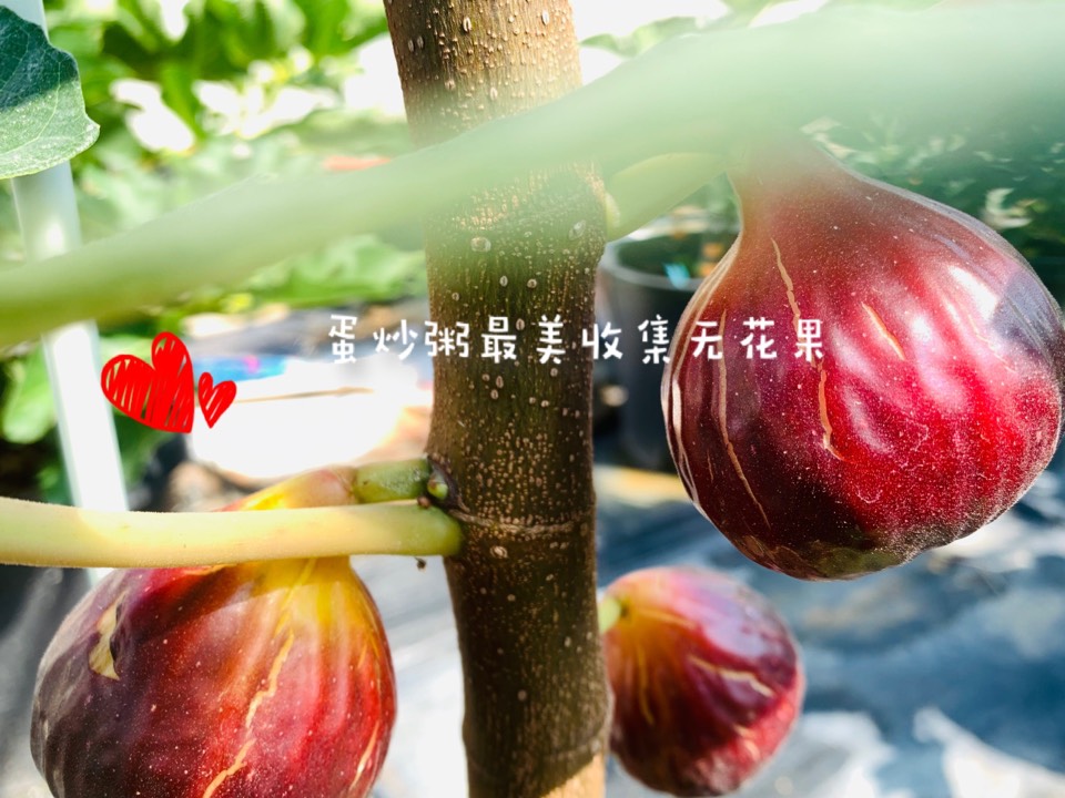 ҵ2021꣬ؼҿ7855 : 