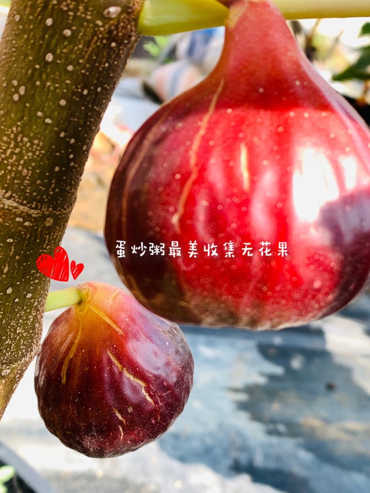 ҵ2021꣬ؼҿ9241 : 