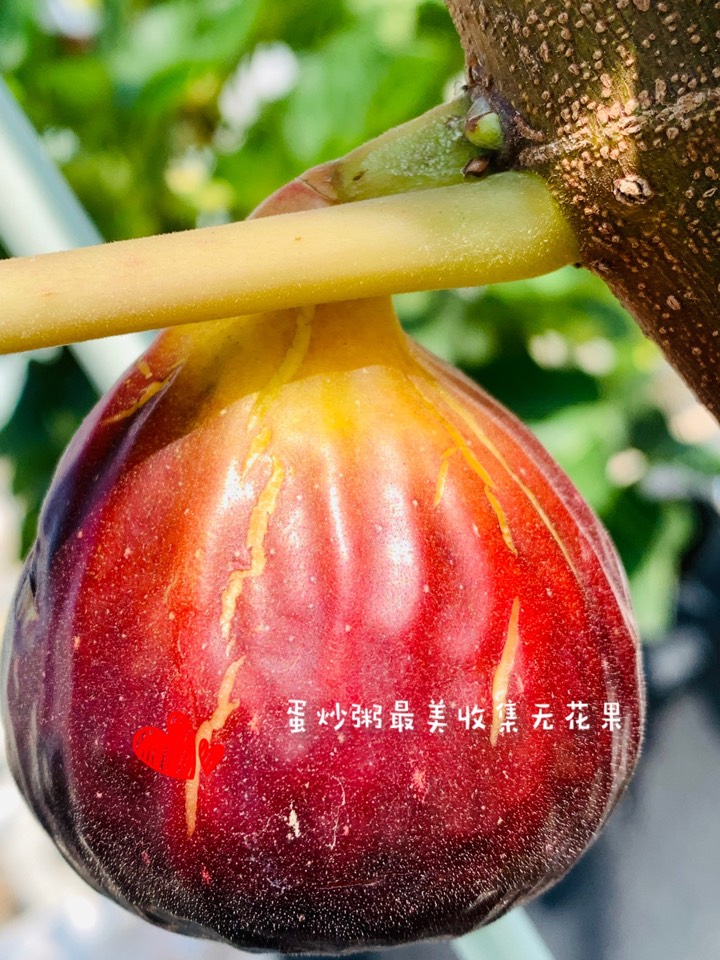 ҵ2021꣬ؼҿ617 : 