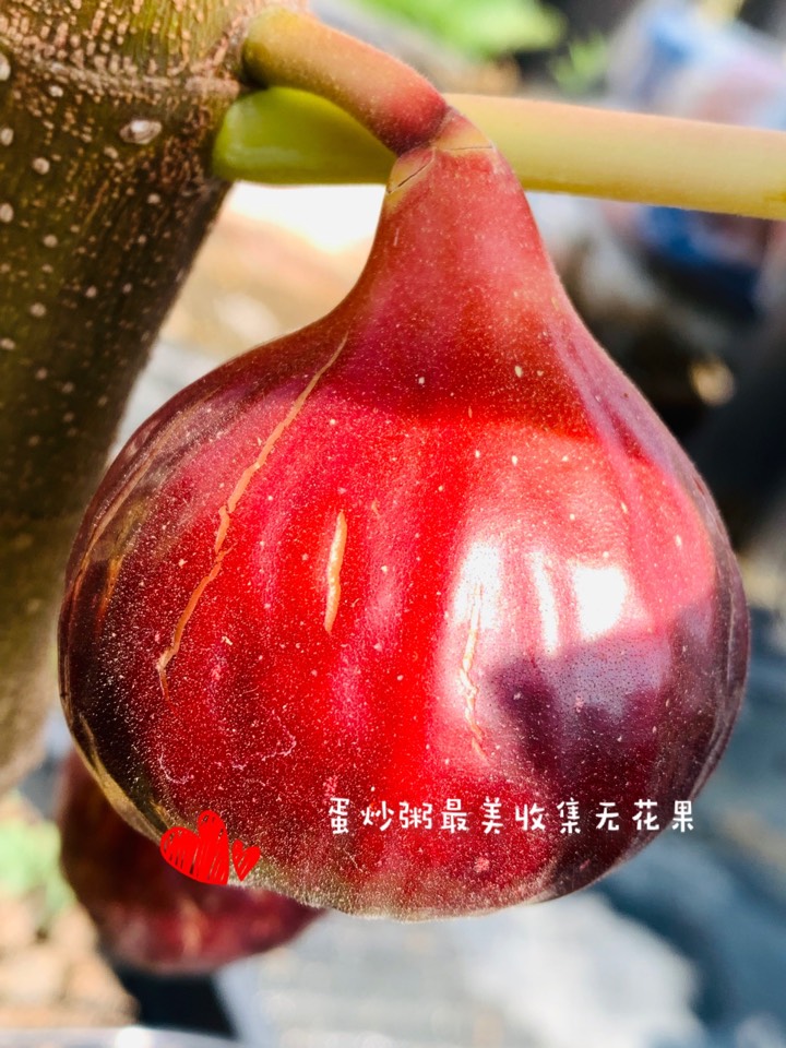 ҵ2021꣬ؼҿ5065 : 